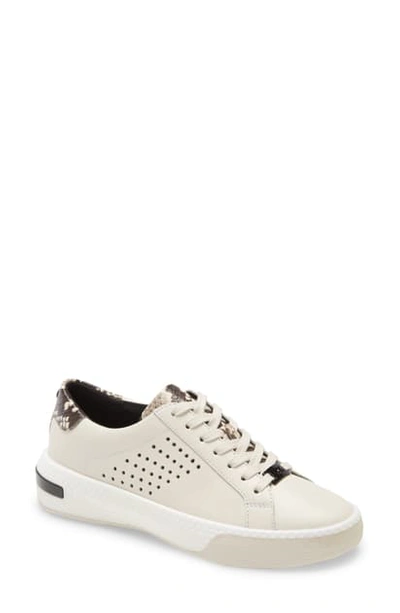 Shop Michael Michael Kors Codie Sneaker In Cream Leather