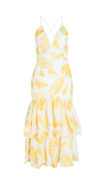 Shop Acler Wray Dress In Golden Leaves