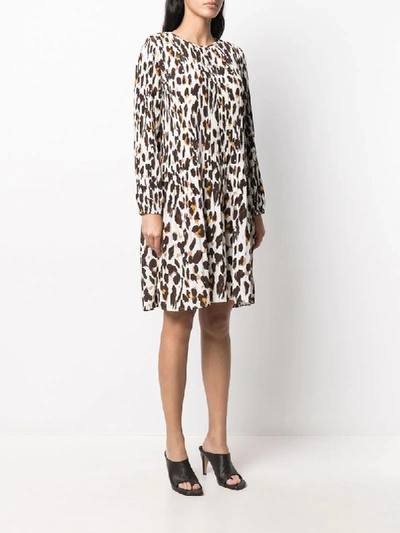 Shop Steffen Schraut Pleated Leopard Print Dress In Neutrals