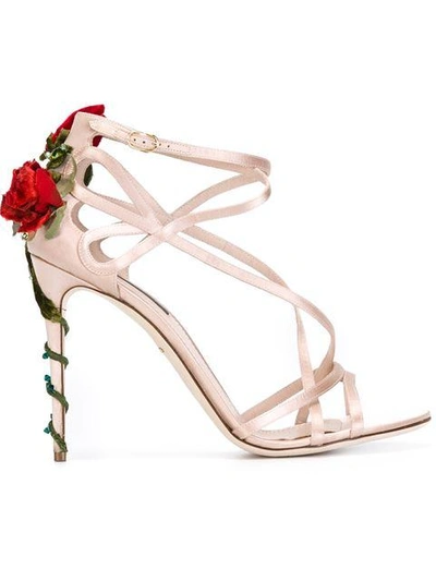 Shop Dolce & Gabbana Climbing Rose Sandals