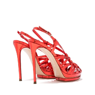 Shop Casadei Giulia Pandora In Coral Bay