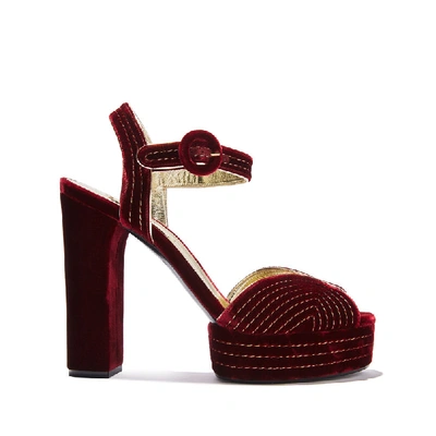 Shop Casadei Manu Miranda In Velvet Cake