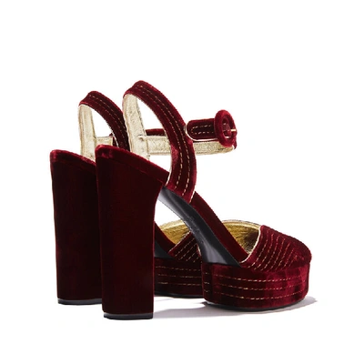 Shop Casadei Manu Miranda In Velvet Cake