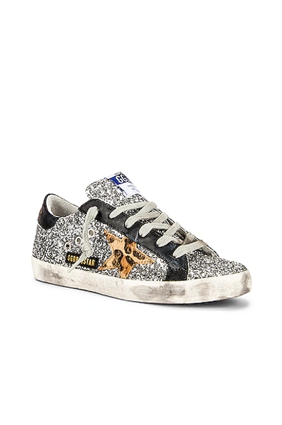 Shop Golden Goose Superstar Sneaker In Silver  Beige Brown Leopard & Black