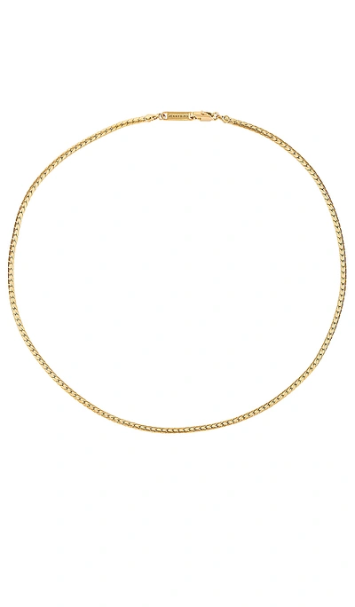 Shop Jenny Bird Priya Necklace In Gold