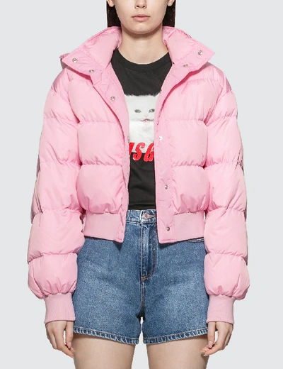 Shop Msgm Basic Short Down Jacket In Pink