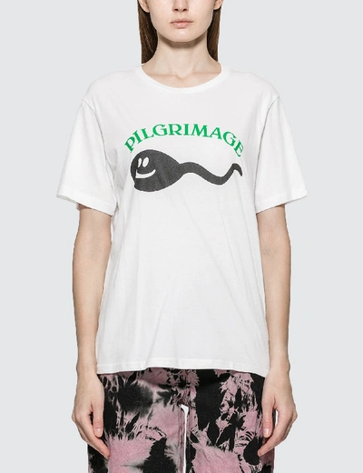 Shop Ashley Williams Pilgrimage T-shirt In White