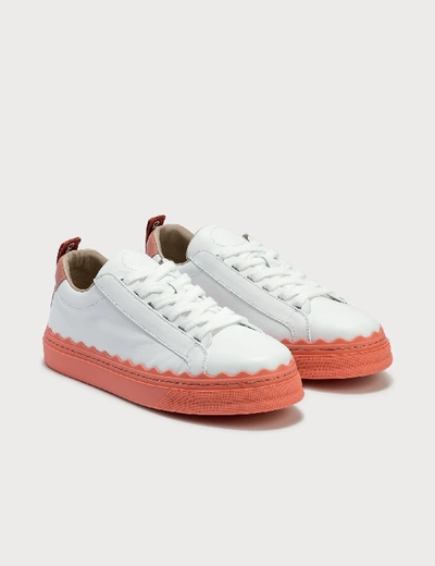 Shop Chloé Lauren Sneaker In Smoked Coral