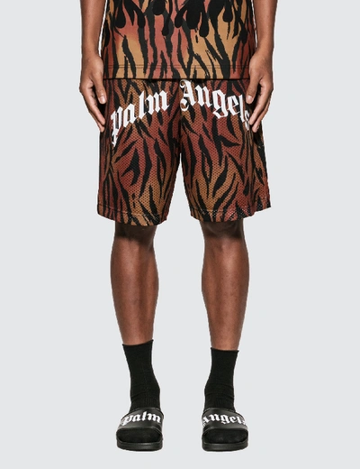 Shop Palm Angels Tiger Mesh Shorts In Brown