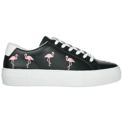 Shop Moa Master Of Arts Victoria Flamingo Sneakers In Nero