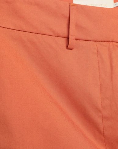 Shop L'autre Chose L' Autre Chose Woman Pants Orange Size 8 Cotton, Elastane