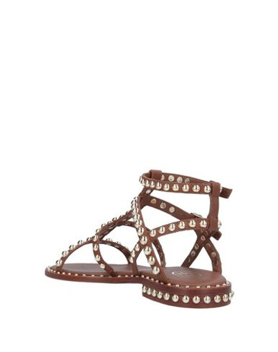 Shop Ash Sandals In Cocoa