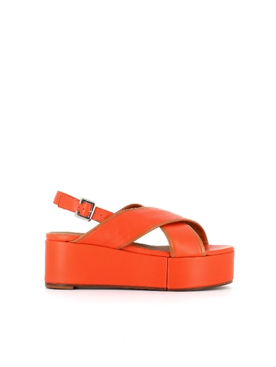 Shop Clergerie Myrta Wedge In Coral