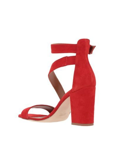 Shop Paris Texas Sandals In Red