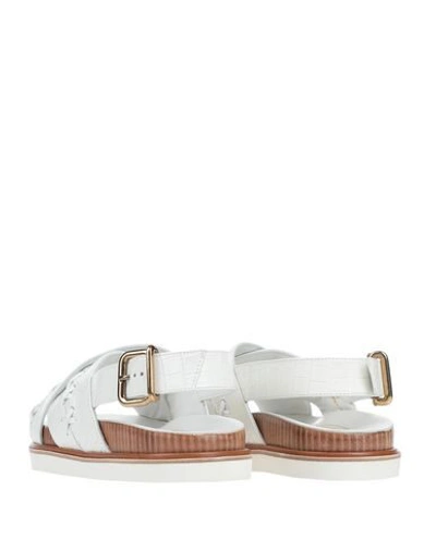 Tod's Sandals In White