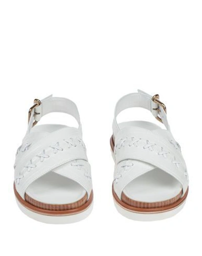 Tod's Sandals In White