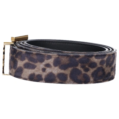 Shop Saint Laurent Women Belt Monogram Suede Leoprint Brown