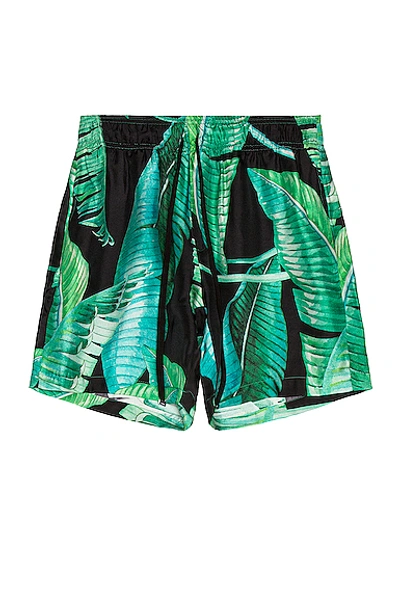 Shop Amiri Banana Leaves Shorts In Black