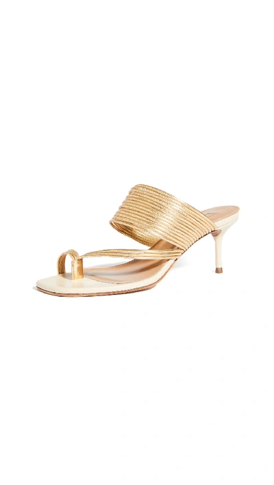 Shop Aquazzura Sunny Sandals 60mm In Cream/gold