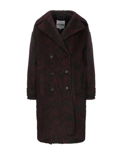 Shop Kenzo Coat In Maroon