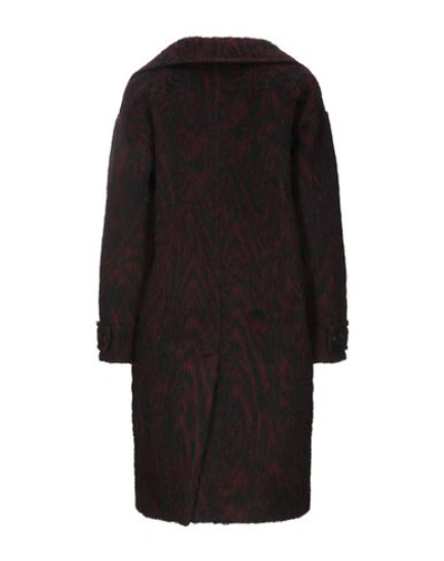 Shop Kenzo Coat In Maroon