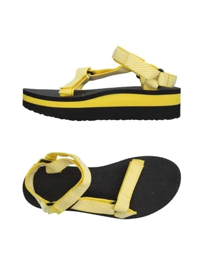 Shop Teva Sandals In Yellow