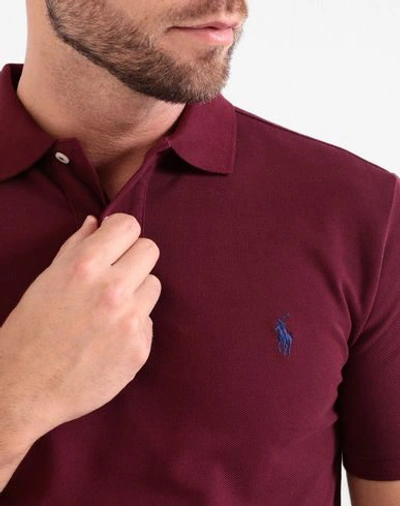 Shop Polo Ralph Lauren Slim Fit Mesh Polo Shirt Man Polo Shirt Burgundy Size Xs Cotton In Red