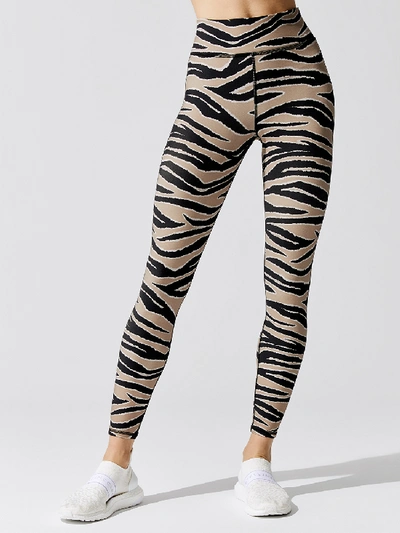 Shop Michi Verve Legging In Tiger