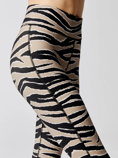 Shop Michi Verve Legging In Tiger