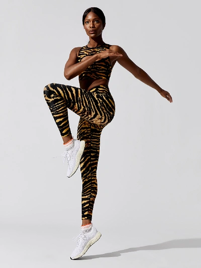 Shop Adam Selman Sport French Cut Legging In Tiger