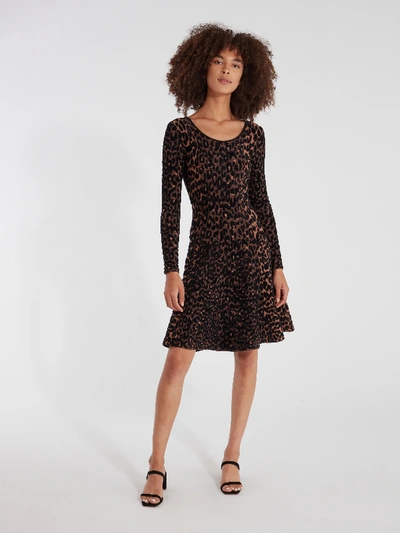Shop Milly Textured Cheetah Flare Knit Dress - L In Brown