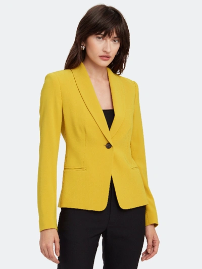 Shop Diane Von Furstenberg Halzie Single Button Blazer In Yellow