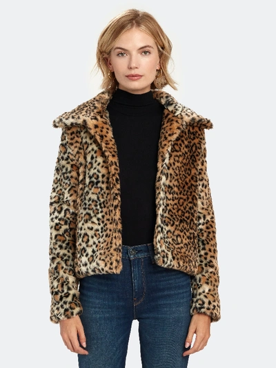 Shop Finders Keepers Louvre Crop Faux Fur Jacket - Xxs - Also In: Xl In Brown