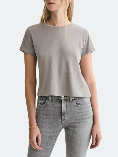 Shop Agolde Linda Crewneck Boxy T-shirt - Xs In Grey