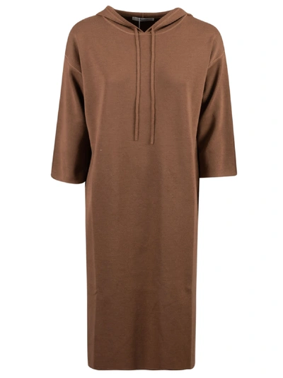 Shop Max Mara Lerici Dress In Brown