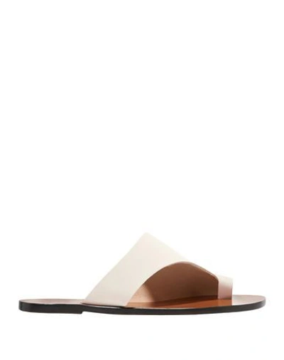 Shop Atp Atelier Toe Strap Sandals In Beige