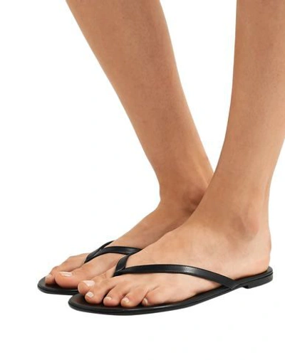 Shop Gianvito Rossi Flip Flops In Black