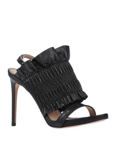 Shop Elisabetta Franchi Sandals In Black