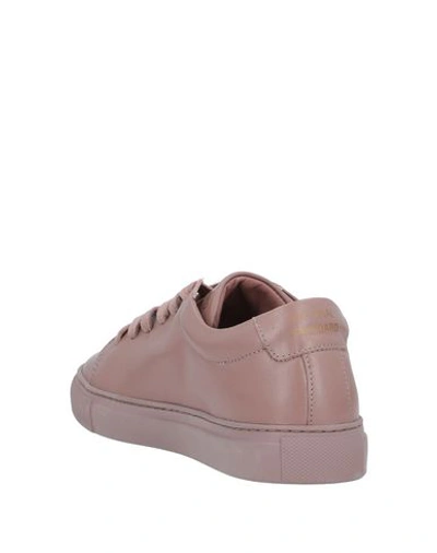 Shop National Standard Sneakers In Light Brown