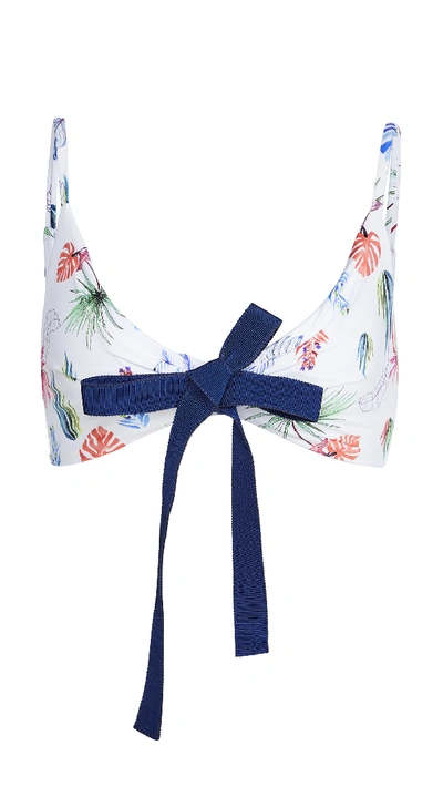 Shop Silvia Tcherassi Fern Swimwear Bikini Top In Multi Palm Leaf