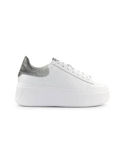 Shop Ash Moby White Silver Sneaker In Bianco