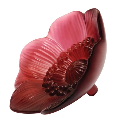 Shop Lalique Crystal Anemone Sculpture