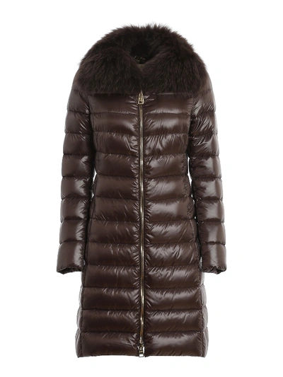 Shop Herno Elisa Fur Detailed Padded Coat In Dark Brown