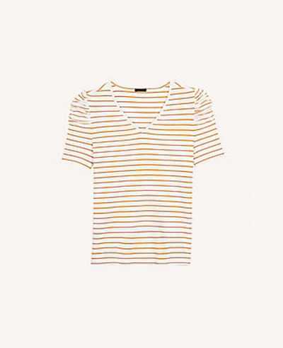 Shop Ann Taylor Striped Ribbed Puff Sleeve Top In Raw Honey