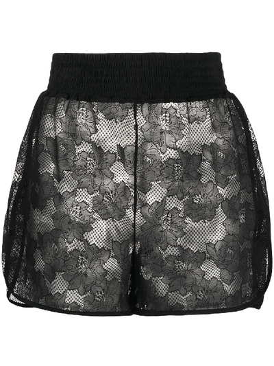 Shop Wolford Lace Embroidered Shorts In Black