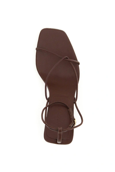 Shop Neous Andromeda Leather Sandals In Brown