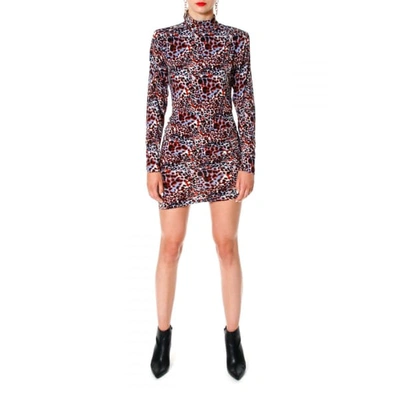 Aggi By Halewski Liz Borneo Dress In Borneo