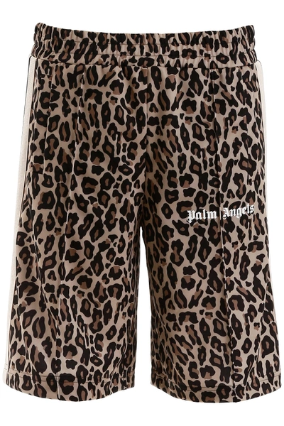 Shop Palm Angels Leopard Short Trackpants In Yellow White (beige)