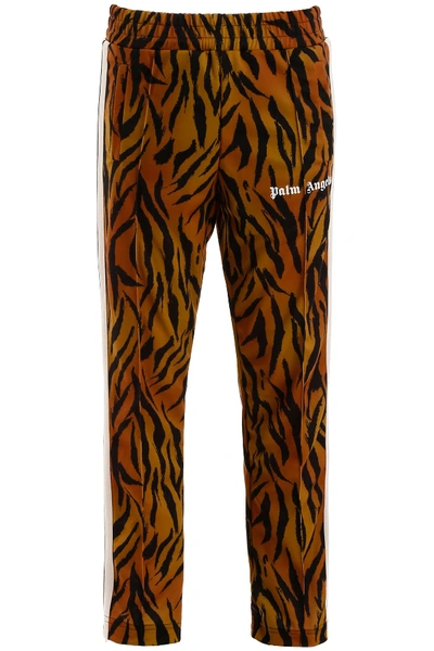 Shop Palm Angels Tiger Trackpants In Brown White (orange)