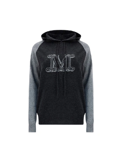 Max Mara Maxmara Liegi Cashmere Hooded Sweater With Logo In Grey | ModeSens